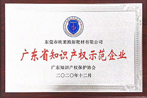 广东省知识产权示范企业